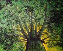 Endlich am Holzweg-3